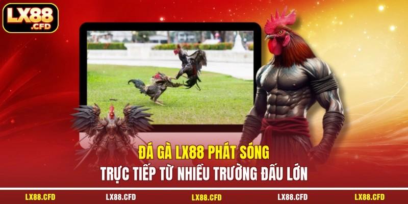 Đá gà LX88 phát sóng trực tiếp từ nhiều trường đấu lớn Đá gà LX88 phát sóng trực tiếp từ nhiều trường đấu lớn