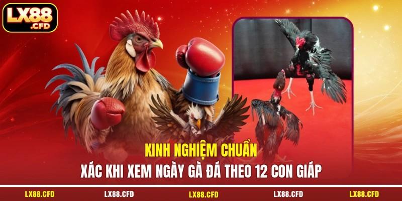 Kinh nghiệm chuẩn xác khi xem ngày gà đá theo 12 con giáp