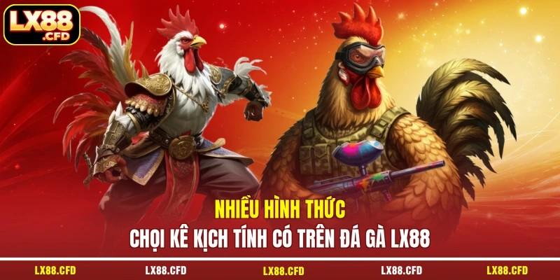 Nhiều hình thức chọi kê kịch tính có trên đá gà LX88 Nhiều hình thức chọi kê kịch tính có trên đá gà LX88