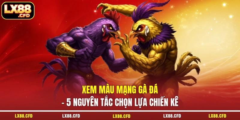 Xem Màu Mạng Gà Đá - 5 Nguyên Tắc Chọn Lựa Chiến Kê