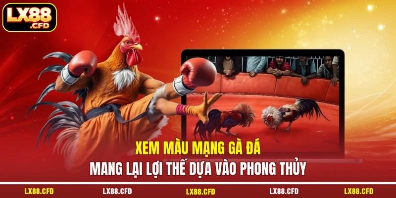 Xem màu mạng gà đá mang lại lợi thế dựa vào phong thủy