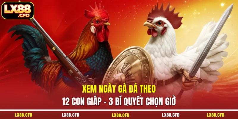 Xem Ngày Gà Đá Theo 12 Con Giáp - 3 Bí Quyết Chọn Giờ