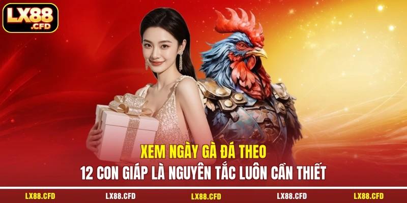 Xem ngày gà đá theo 12 con giáp là nguyên tắc luôn cần thiết